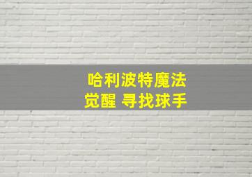 哈利波特魔法觉醒 寻找球手